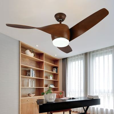 Liororeon Ceiling Fan Light