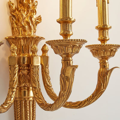 Julienne Wall Lamp