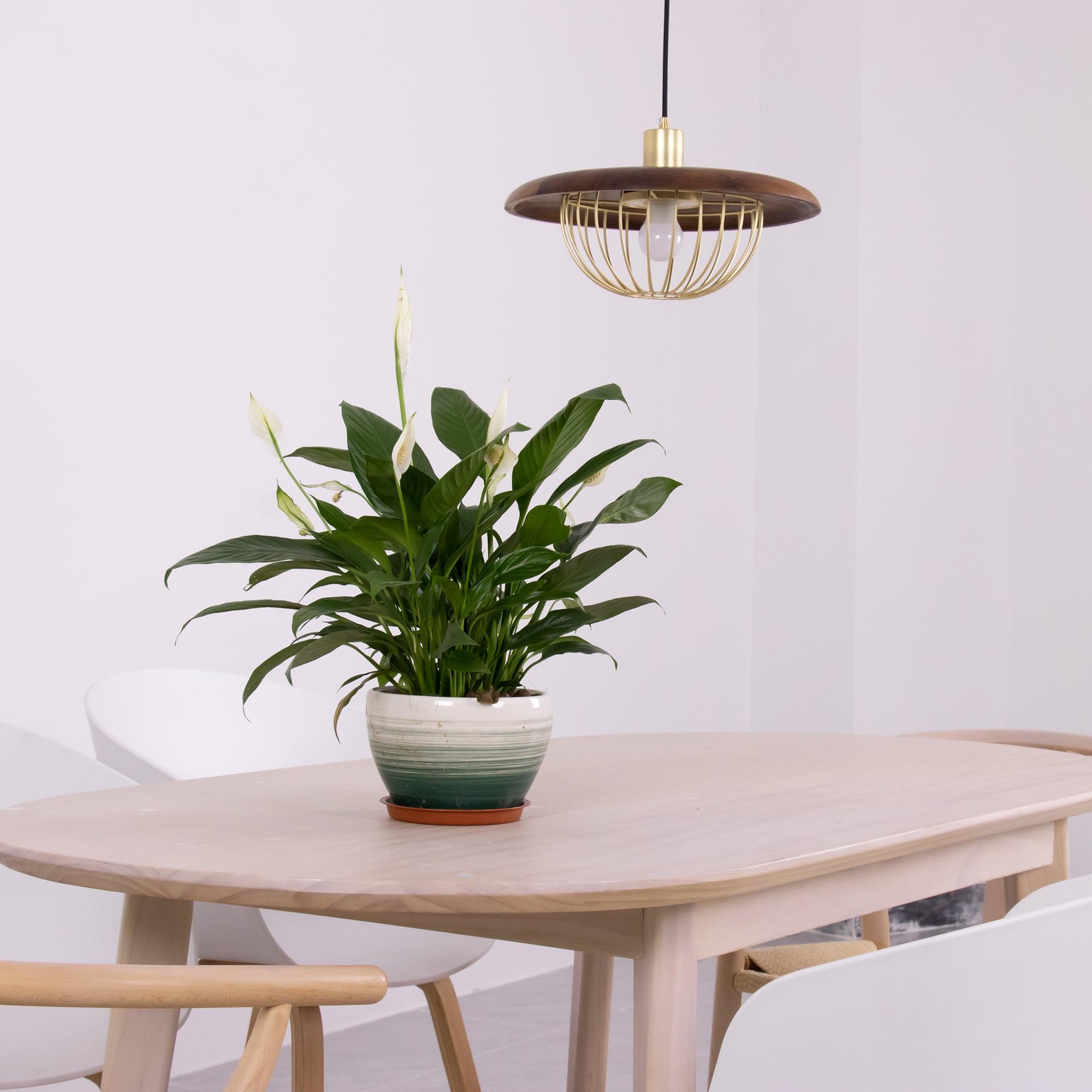 Rinoira Wood Retro Vintage Pendant Lamp