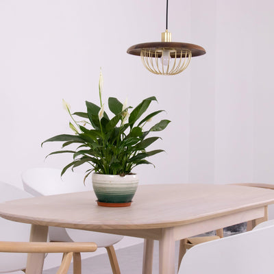Rinoira Wood Retro Vintage Pendant Lamp