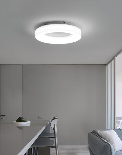 Erraeiel Modern Minimalist Art Ceiling Light