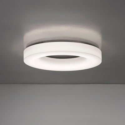 Erraeiel Modern Minimalist Art Ceiling Light