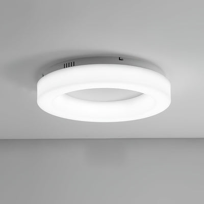 Erraeiel Modern Minimalist Art Ceiling Light