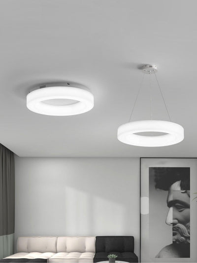 Erraeiel Modern Minimalist Art Ceiling Light