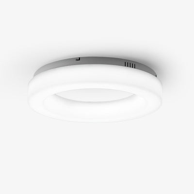 Erraeiel Modern Minimalist Art Ceiling Light