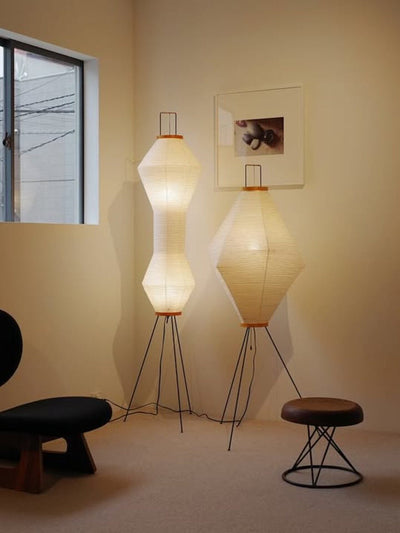 Cirelaine Floor Lamp