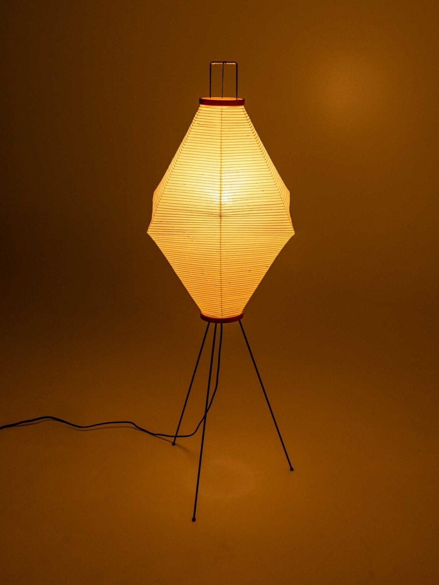 Cirelaine Floor Lamp