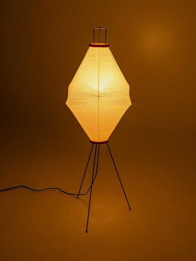 Cirelaine Floor Lamp