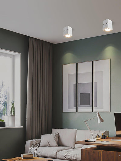 Alvynora Modern Minimalist Spotlights Ceiling lamp