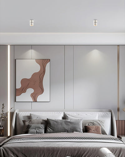 Alvynora Modern Minimalist Spotlights Ceiling lamp