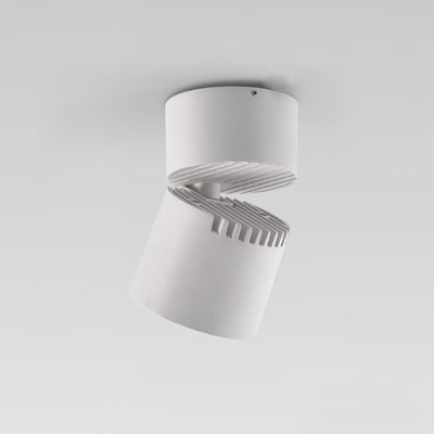 Alvynora Modern Minimalist Spotlights Ceiling lamp