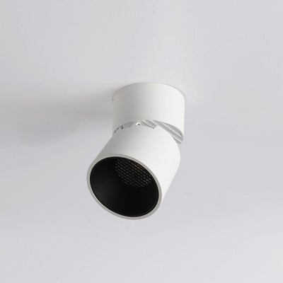 Alvynora Modern Minimalist Spotlights Ceiling lamp