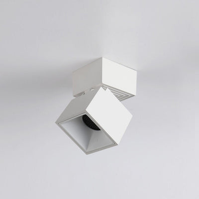 Alvynora Modern Minimalist Spotlights Ceiling lamp
