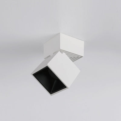 Alvynora Modern Minimalist Spotlights Ceiling lamp