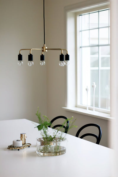 Renuaine Chandelier