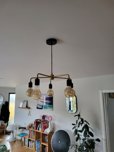 Renuaine Chandelier