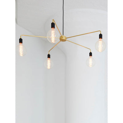 Renuaine Chandelier