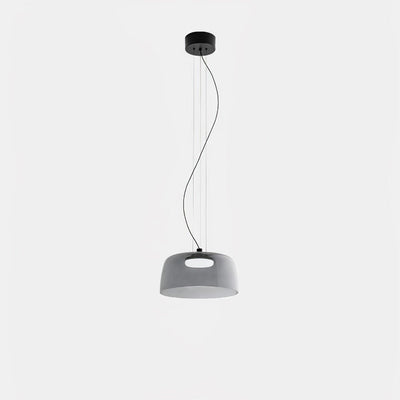Renivine Industrial Pendant Light