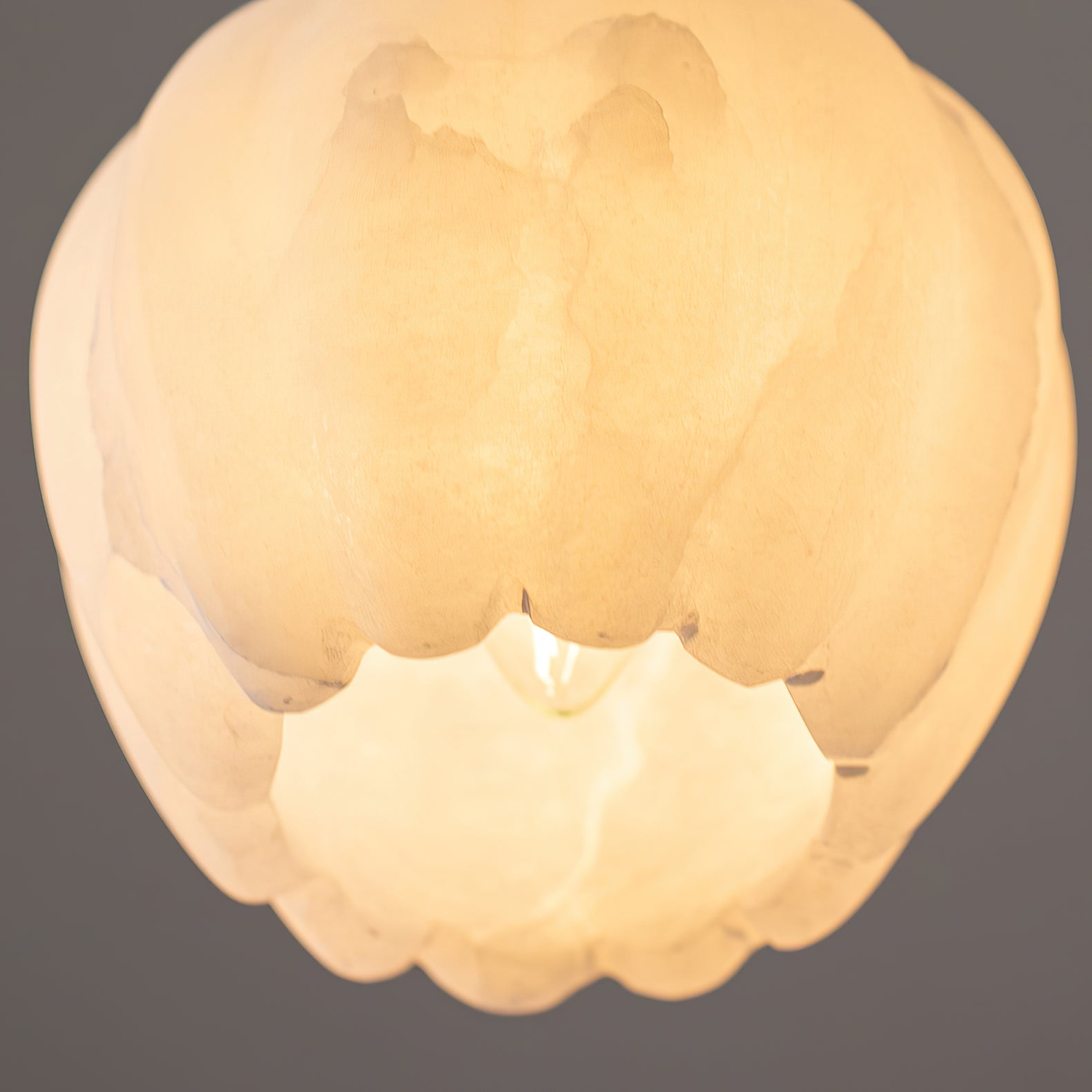 Olraeos Pendant Light
