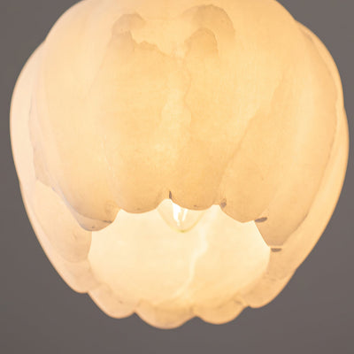 Olraeos Pendant Light