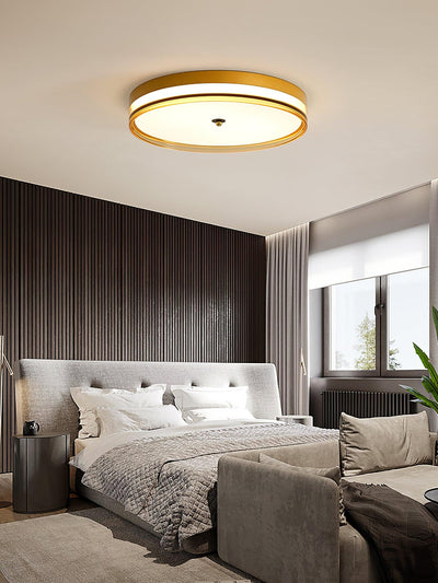 Usolira Modern Minimalist Ceiling Light