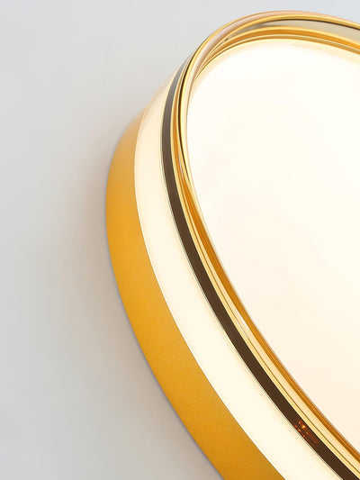 Usolira Modern Minimalist Ceiling Light