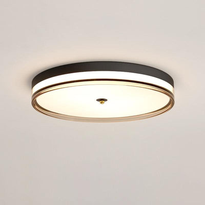 Usolira Modern Minimalist Ceiling Light