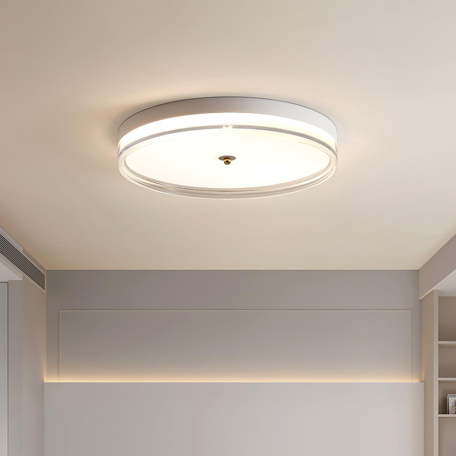 Usolira Modern Minimalist Ceiling Light