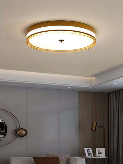 Usolira Modern Minimalist Ceiling Light