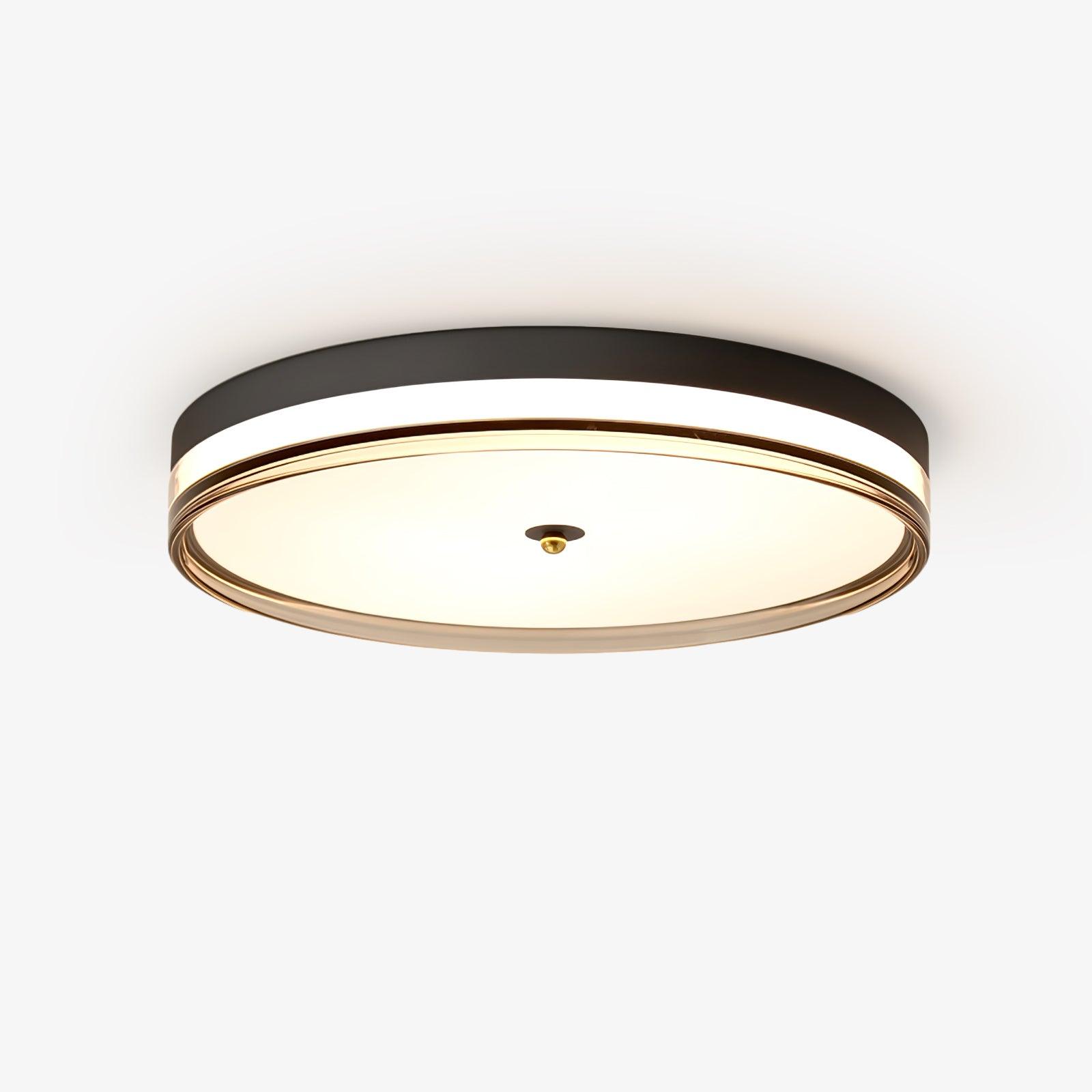 Usolira Modern Minimalist Ceiling Light