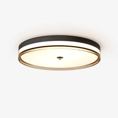 Usolira Modern Minimalist Ceiling Light