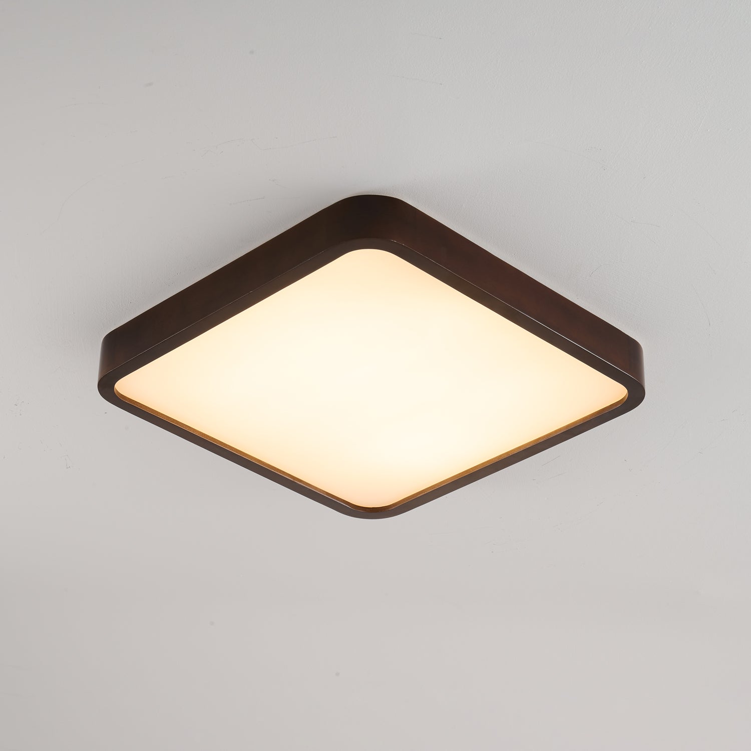 Rinirel Modern Minimalist Rectangular Wood Ceiling Light