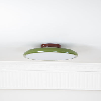 Elmsfield Adjustable Flush Mount Ceiling Light
