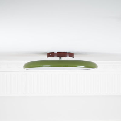 Elmsfield Adjustable Flush Mount Ceiling Light