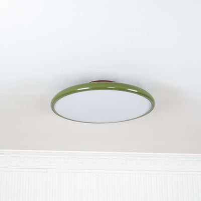 Elmsfield Adjustable Flush Mount Ceiling Light