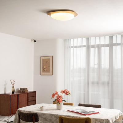 Sylenia Ceiling Light Pebble Walnut Acrylic LED