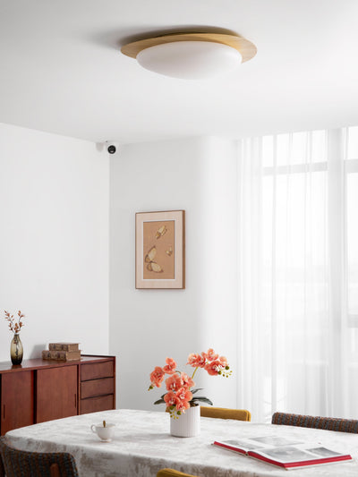 Sylenia Ceiling Light Pebble Walnut Acrylic LED