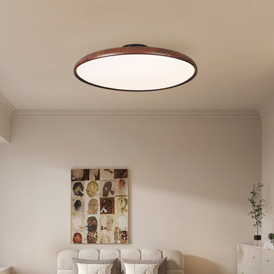 Ralemu Modern Minimalist Adjustable Ceiling Lamp