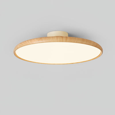 Ralemu Modern Minimalist Adjustable Ceiling Lamp