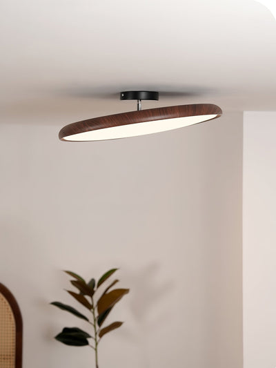 Ralemu Modern Minimalist Adjustable Ceiling Lamp