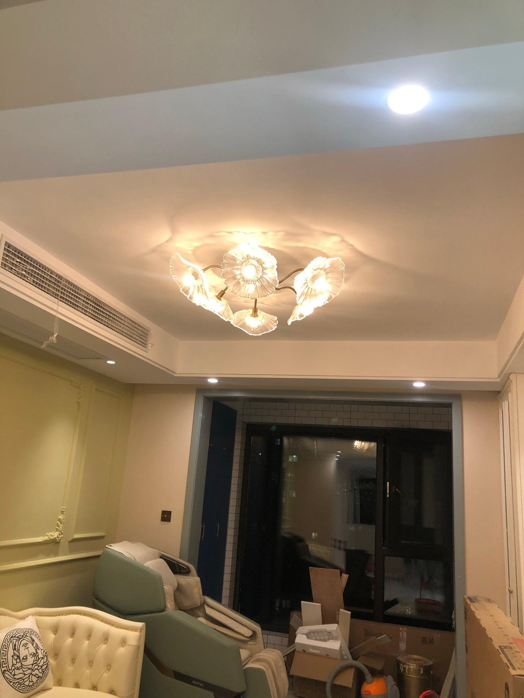 Lioruina Ceiling Lamp Leaf Glass with Brass Elegant