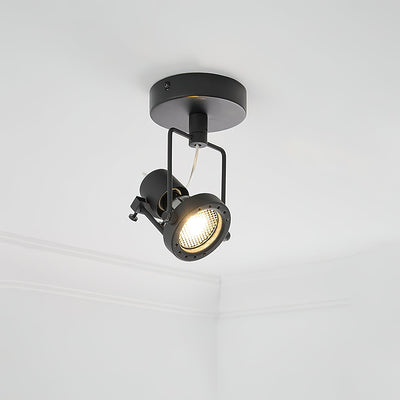Torven Ceiling Light
