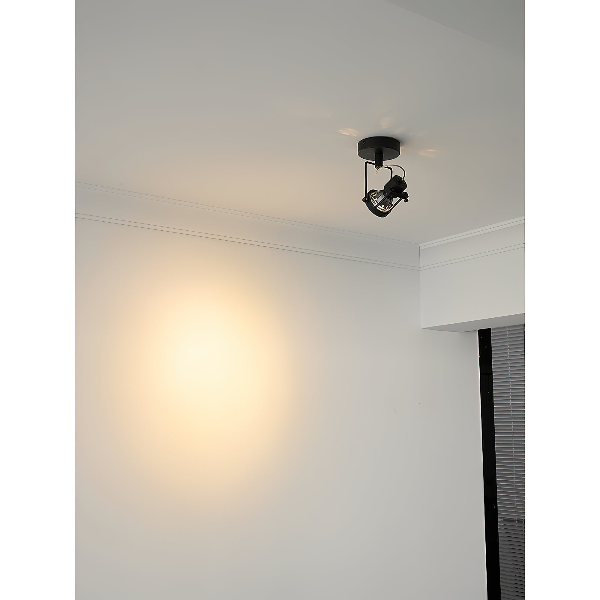 Torven Ceiling Light