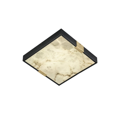 Soraneon Ceiling Light