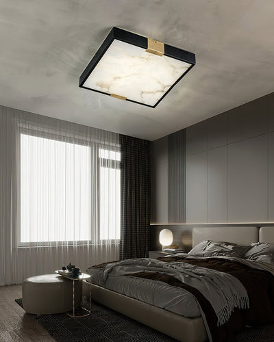 Soraneon Ceiling Light