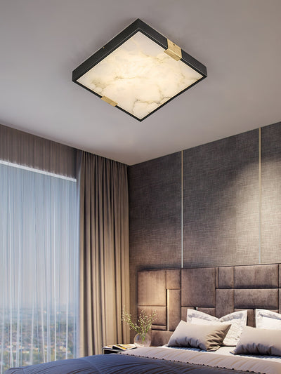 Soraneon Ceiling Light