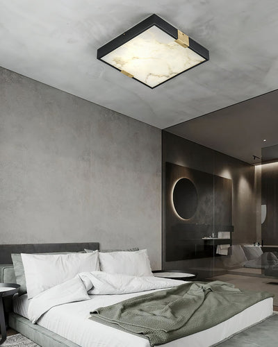 Soraneon Ceiling Light