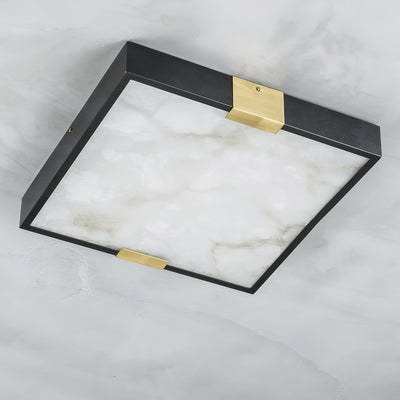 Soraneon Ceiling Light