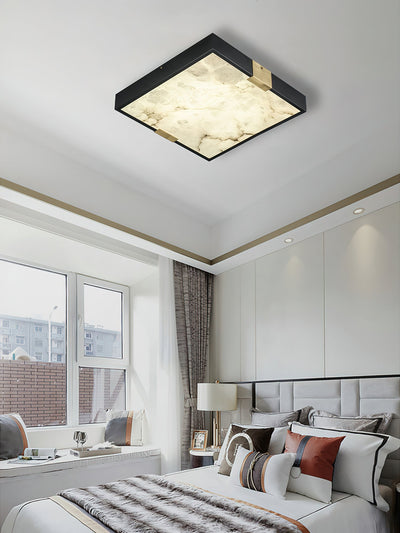 Soraneon Ceiling Light