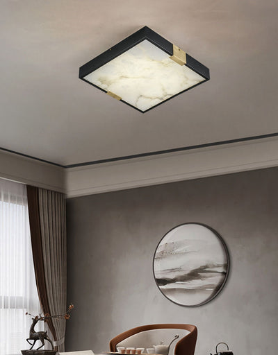 Soraneon Ceiling Light
